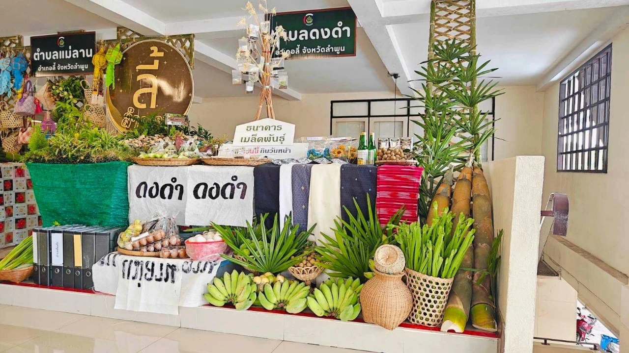 catalogs_file_388_19_14_670554.webp